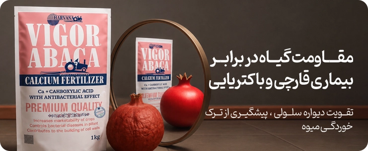 پرفروش ترین های فصل